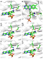 Mutant Flavin-Based Fluorescent Protein Sensors for Detecting Intracellular Zinc and Copper in Escherichia coli